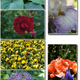Illustration for article titled Sony Alpha NEX-5 photo samples: